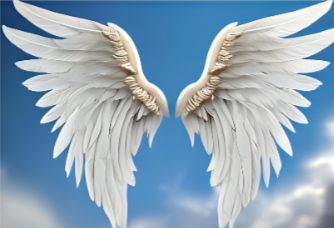 Angel Wings