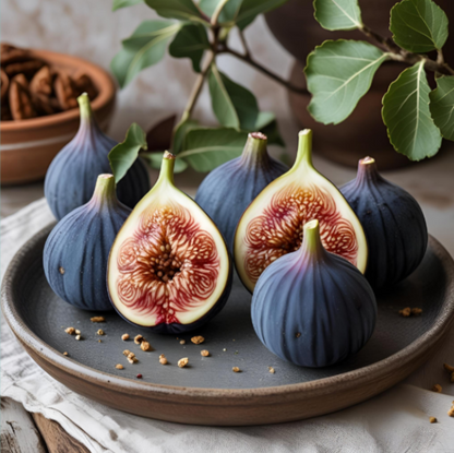 Sicilian Fig