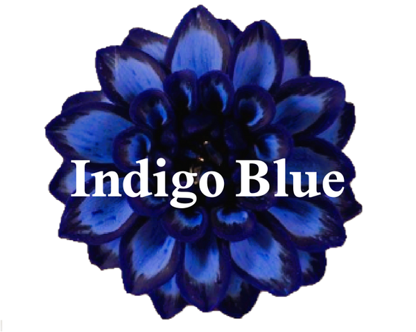 Indigo Blue